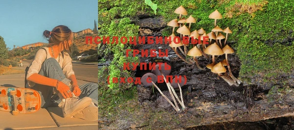 амфетамин Алексеевка